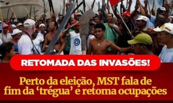 MST de Novo