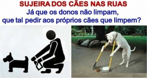 Sujeira dos cães nas ruas - Existe uma lei.